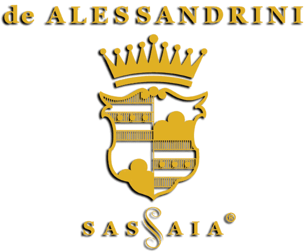 logo-transparent-dropshadow