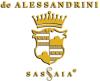 logo-transparent-dropshadow