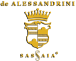 logo-transparent-dropshadow